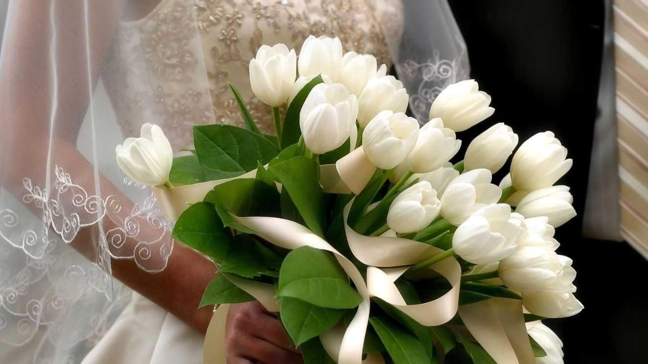 https://admin.jenssenmobility.no/wp-content/uploads/2025/09/Jenssen-bryllup-2.jpg